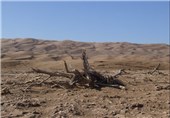 تپه های ماسه ای نهبندان منطقه گردشگری گمشده در دل کویر