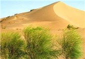 پروژه ترسیب کربن در اراضی استان البرز اجرا می‌شود