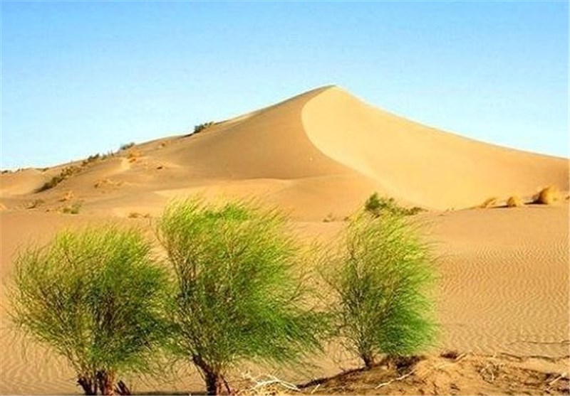 پروژه ترسیب کربن در اراضی استان البرز اجرا می‌شود