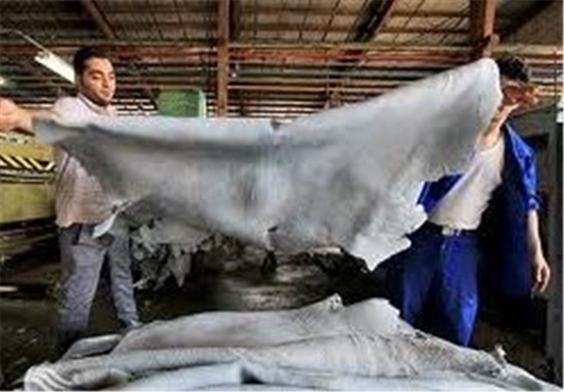 فعالیت 80درصدی کارگران افغان در واحدهای تولیدی؛ بازار در قبضه چرم چینی