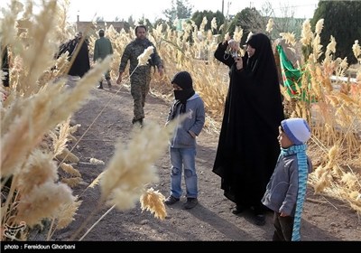 کنگره بزرگداشت 616 سردار شهید شهرستان تربت جام