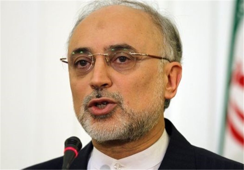 AEOI Chief Asks World Powers to Respect Iran&apos;s Nuclear Rights