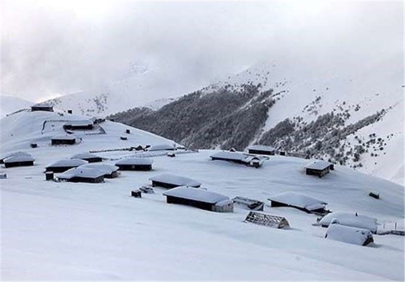 برف، 100 هکتار از گلخانه‌های غرب مازندران را تخریب کرد