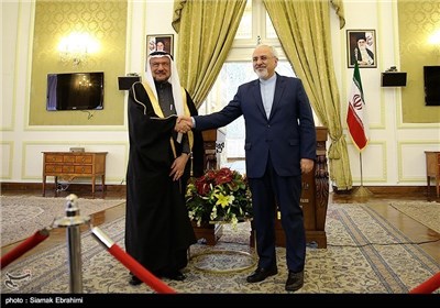  Iranian FM, OIC Chief Hold Joint News Conference in Tehran