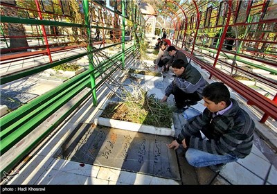 گلباران مزار مطهر شهدا-شیراز