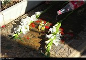 گلباران مزار مطهر شهدا-شیراز