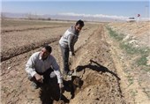 باغ فدک در استان خوزستان با هدف جلوگیری از پدیده ریزگردها احداث می‌شود‌
