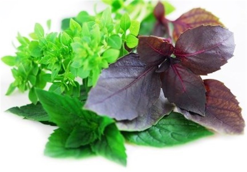 3 سبزی معجزه‌گر در درمان کم خونی و آسم