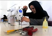 زنان سرپرست خانوار استان قزوین در عرصه اشتغال حمایت می‌شوند