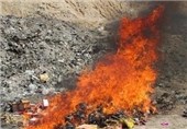 600 کیلوگرم مواد غذایی فاسد در بوشهر معدوم شد