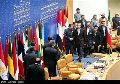  IIPU Meeting Starts Work in Tehran