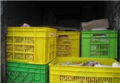 نظارت بر خودروهای حمل فرآورده‌های گوشتی در قزوین تشدید می‌شود