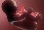 آمار &quot;سقط جنین&quot; معادل حدود یک‎ سوم تولدهای کل کشور است! + جدول