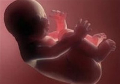  آمار "سقط جنین" معادل حدود یک‎‌سوم تولدهای کل کشور است! + جدول 