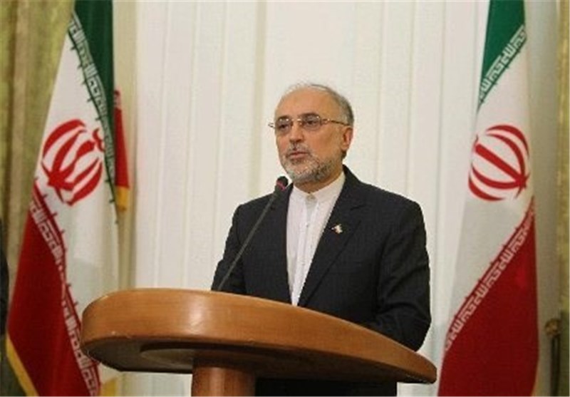 Iran Decides about Level of Enrichment: AEOI Chief