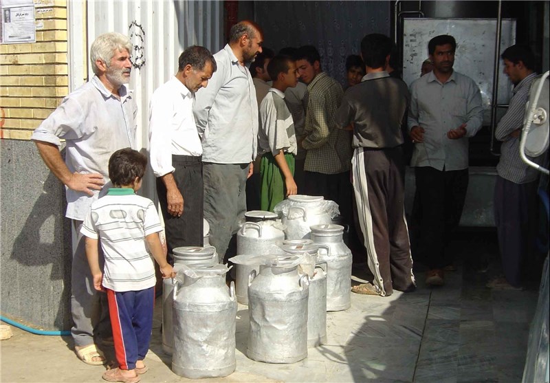 7000 دامدار در اردبیل برای دریافت یارانه شیر ثبت‌نام کردند