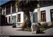 عمارت کلبادی ساری