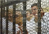 5 تا 88 سال زندان برای 11 طرفدار اخوان‌المسلمین در مصر