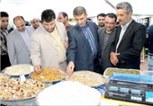 ذخیره سازی 1100 تن میوه برای عرضه با قیمت تعادلی در بوشهر
