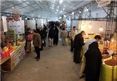 210 غرفه عرضه کالا در نمایشگاه بهاره همدان دایر شد
