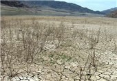 خشکسالی به 50 درصد از مراتع استان سمنان آسیب زده است