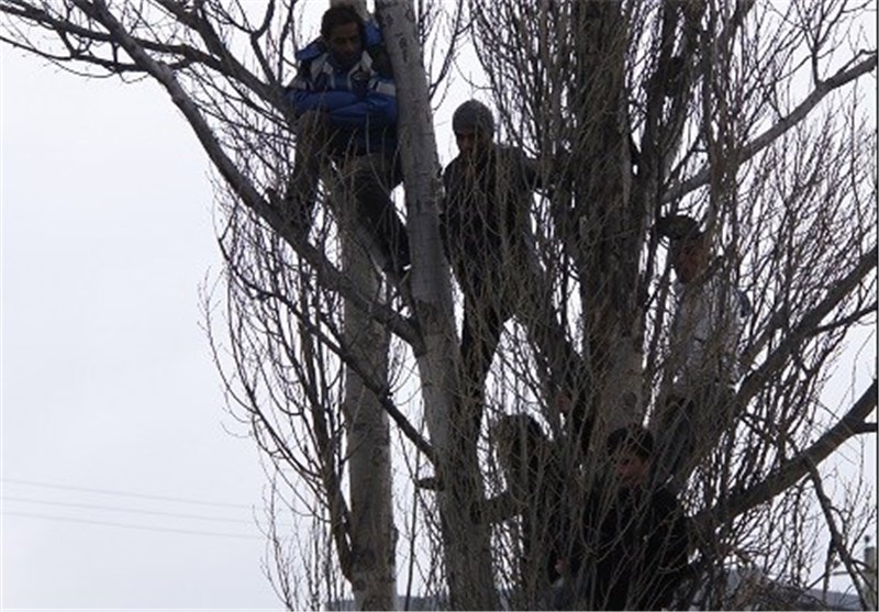 تحول فرهنگ، با برج عاج نشینان تهرانی یا کنشگران شهرستانی