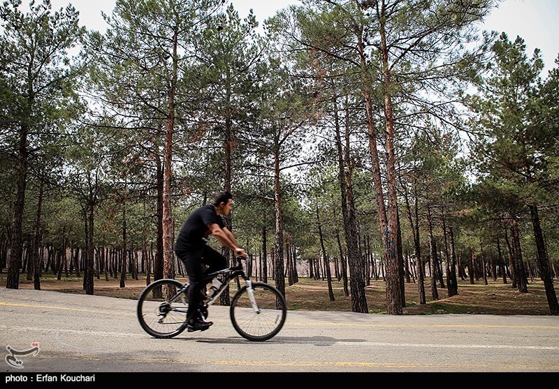 ساخت پیست دوچرخه‌سواری؛ چراغ امیدی برای ورزش استان قم