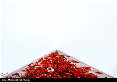فروش ماهی قرمز در آستانه نوروز