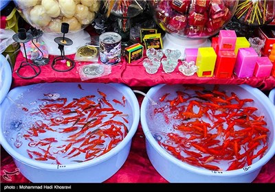 فروش ماهی قرمز در آستانه نوروز 