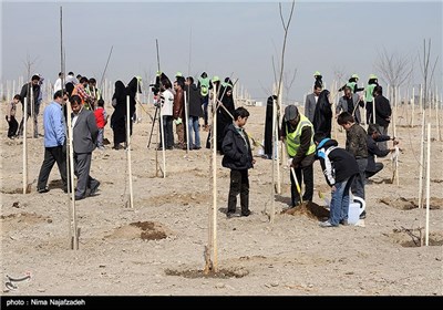 آیین روز درختکاری در مشهد 