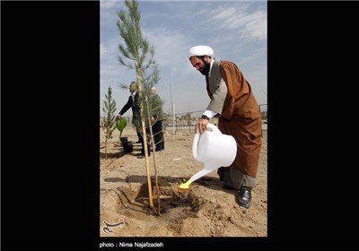 آیین روز درختکاری در مشهد