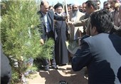آئین روز درختکاری در امامزادگان اردبیل برگزار می‌شود