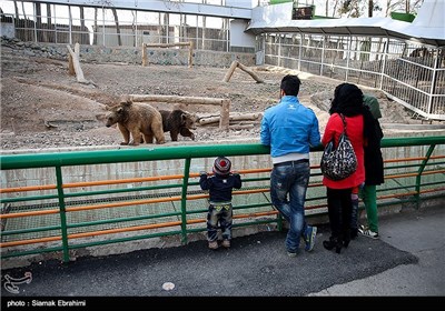 باغ وحش ارم تهران