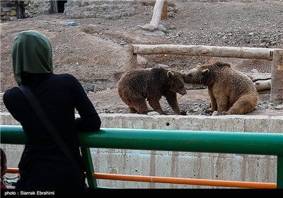 باغ وحش ارم تهران