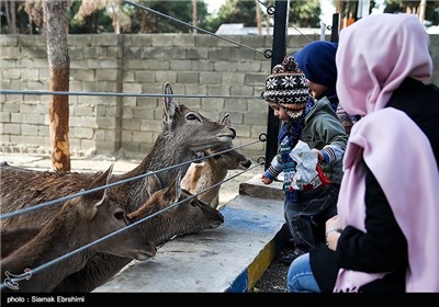 باغ وحش ارم تهران