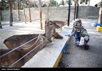 باغ وحش ارم تهران