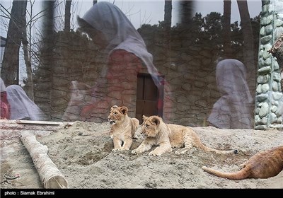 باغ وحش ارم تهران