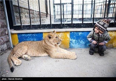 باغ وحش ارم تهران