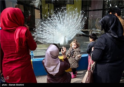 باغ وحش ارم تهران