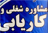 فعالیت 240 مرکز کاریابی در استان تهران/ صدور 56 مجوز کارآفرینی در سال جاری