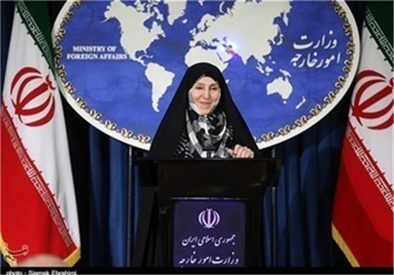 افخم: پارلمان اروپا نمی‌تواند برای ایران تعیین تکلیف کند