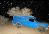 کشف یک دستگاه خودرو حاوی درختچه‌های قطع‌شده تاغ کویری در منطقه حفاظت شده کویر