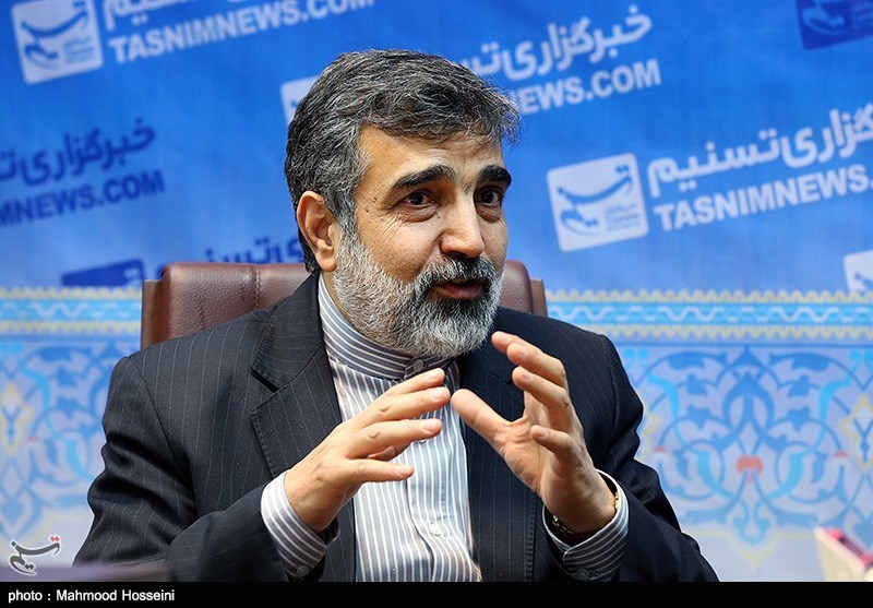 Iran Still Pursuing Complaint about ISA: Spokesman