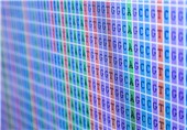 کشف عملکرد متفاوت ژنهای ایمنی در زنان و مردان