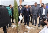 میرزاده: هر دانشجو هنگام فارغ‌التحصیلی یک درخت بکارد