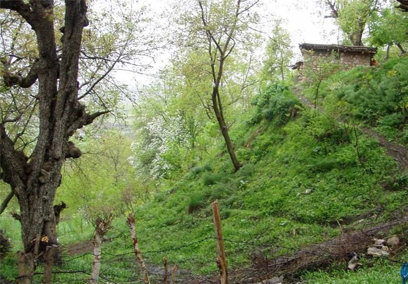 Sardasht, A Scenic City West of Iran