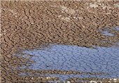 خسارت خشکسالی در لرستان به 400 میلیارد ریال رسید