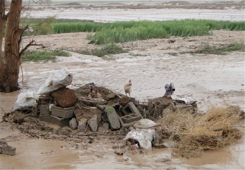 خسارت 200 میلیارد ریالی سیل به مزارع نهبندان