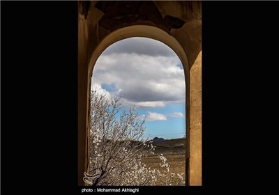 Iran’s Beauties in Photos: Spring in Iran