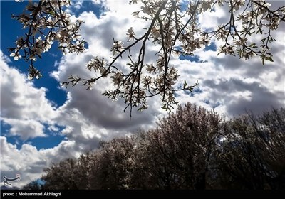 Iran’s Beauties in Photos: Spring in Iran